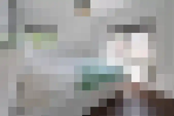 Ceintuurbaan 58 Huizen thumbnail 8