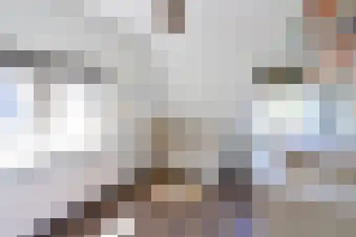 Ceintuurbaan 58 Huizen thumbnail 9
