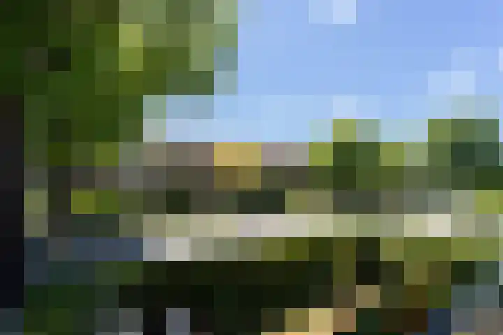 Ceintuurbaan 59 I Bussum thumbnail 27