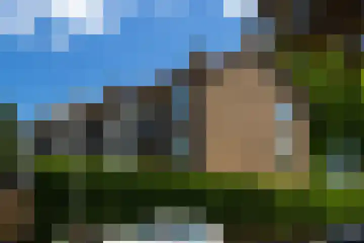 Ceintuurbaan 59 I Bussum thumbnail 28