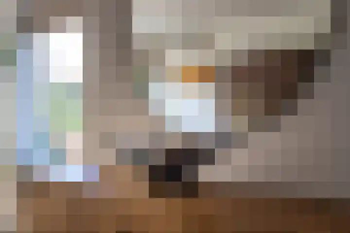 Ceintuurbaan 59 I Bussum thumbnail 9