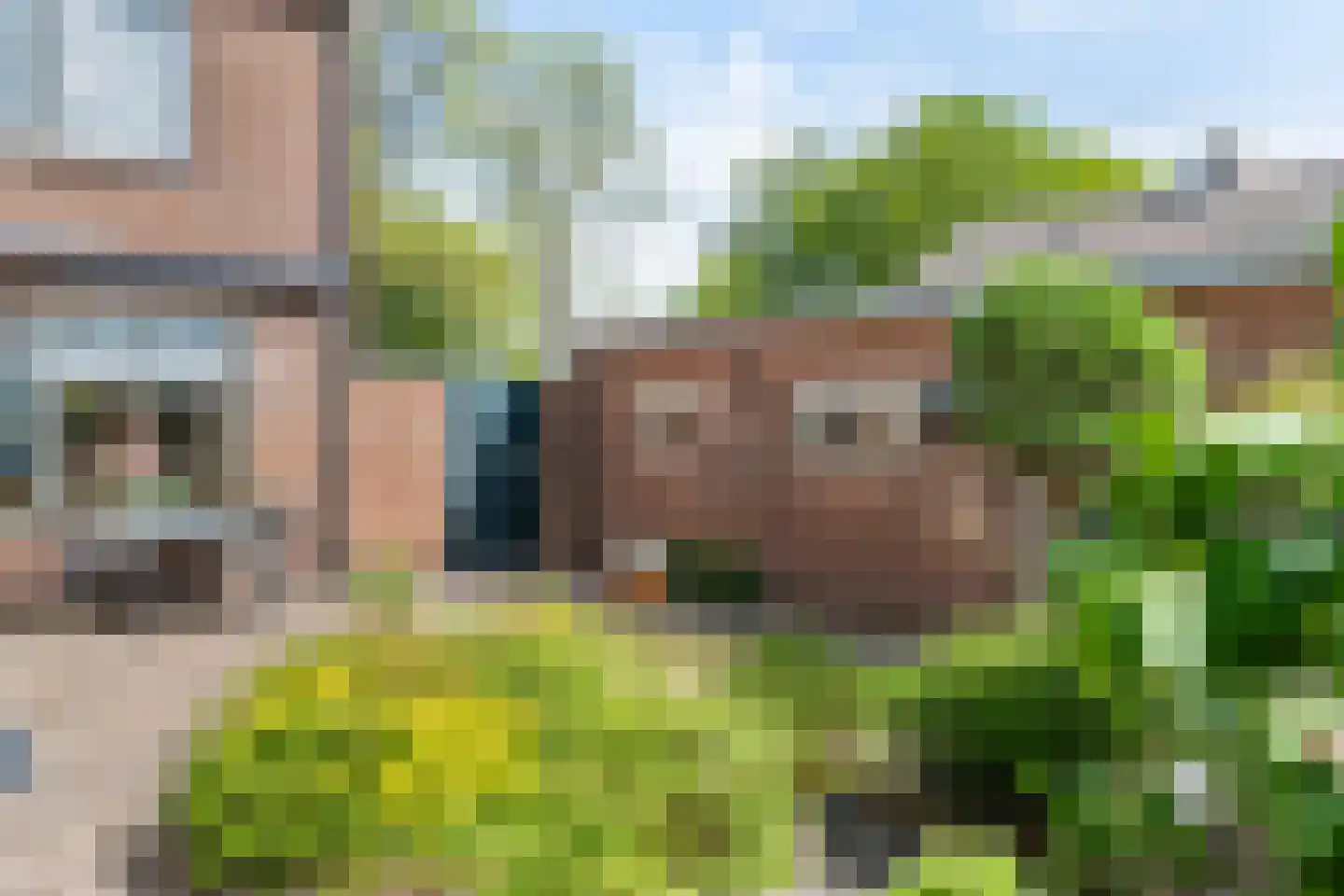 Ceintuurbaan 59 Raalte thumbnail 31