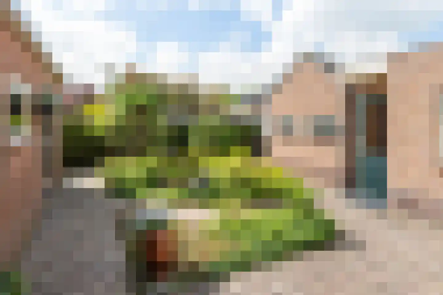 Ceintuurbaan 59 Raalte thumbnail 34