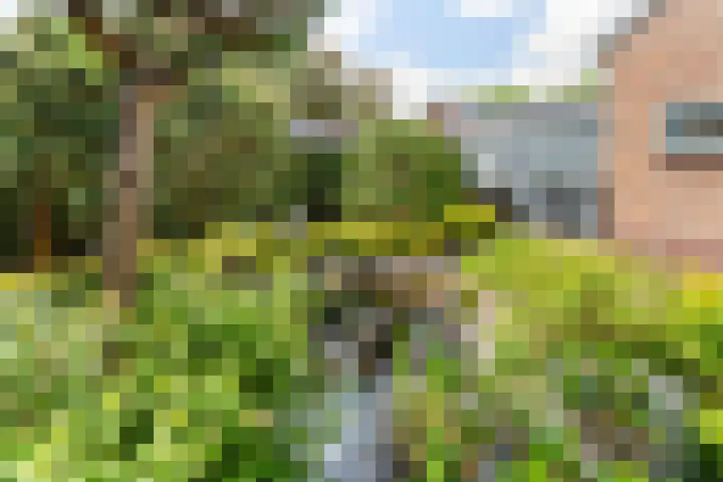Ceintuurbaan 59 Raalte thumbnail 36