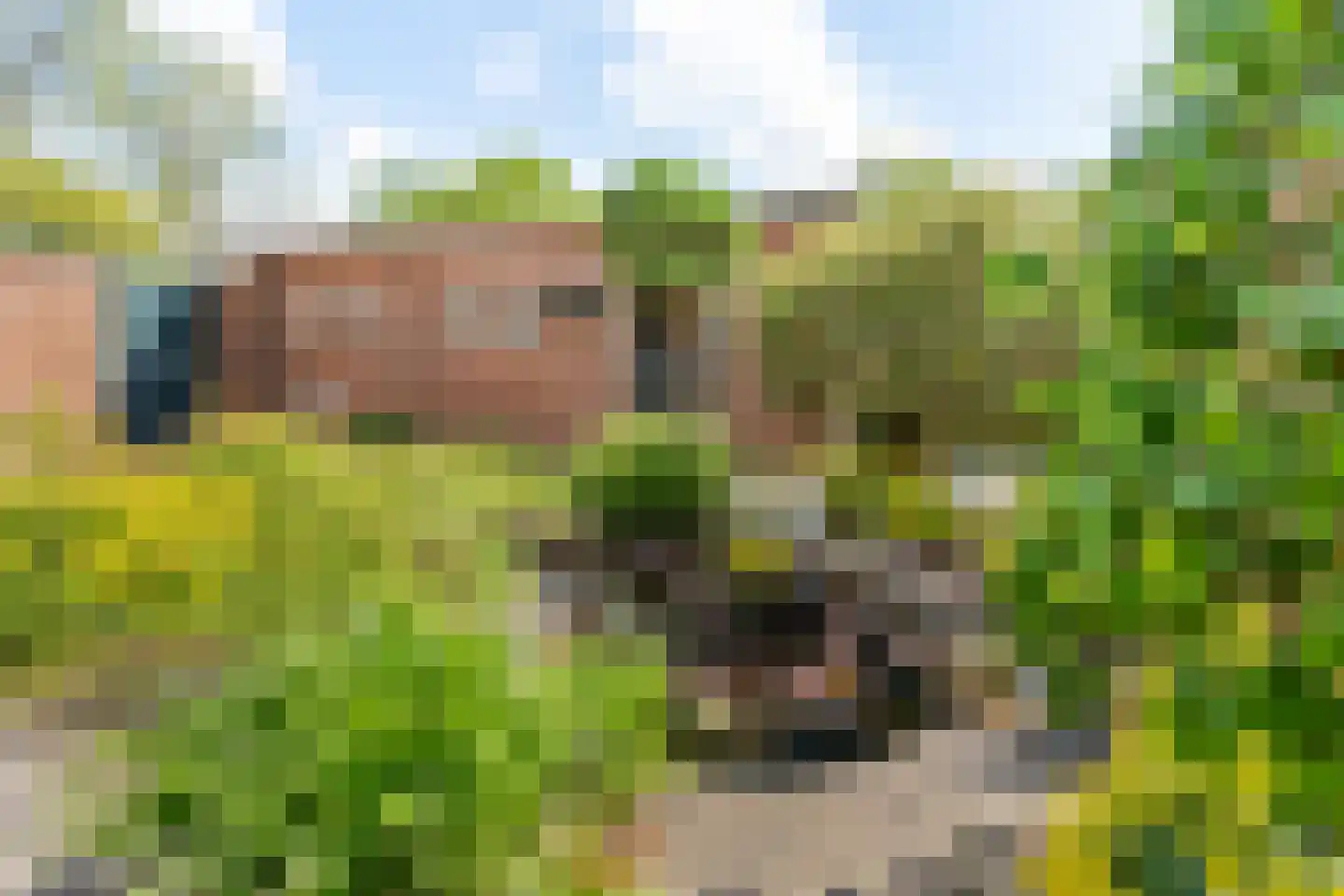Ceintuurbaan 59 Raalte thumbnail 37
