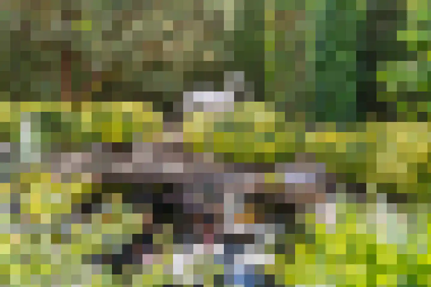 Ceintuurbaan 59 Raalte thumbnail 38