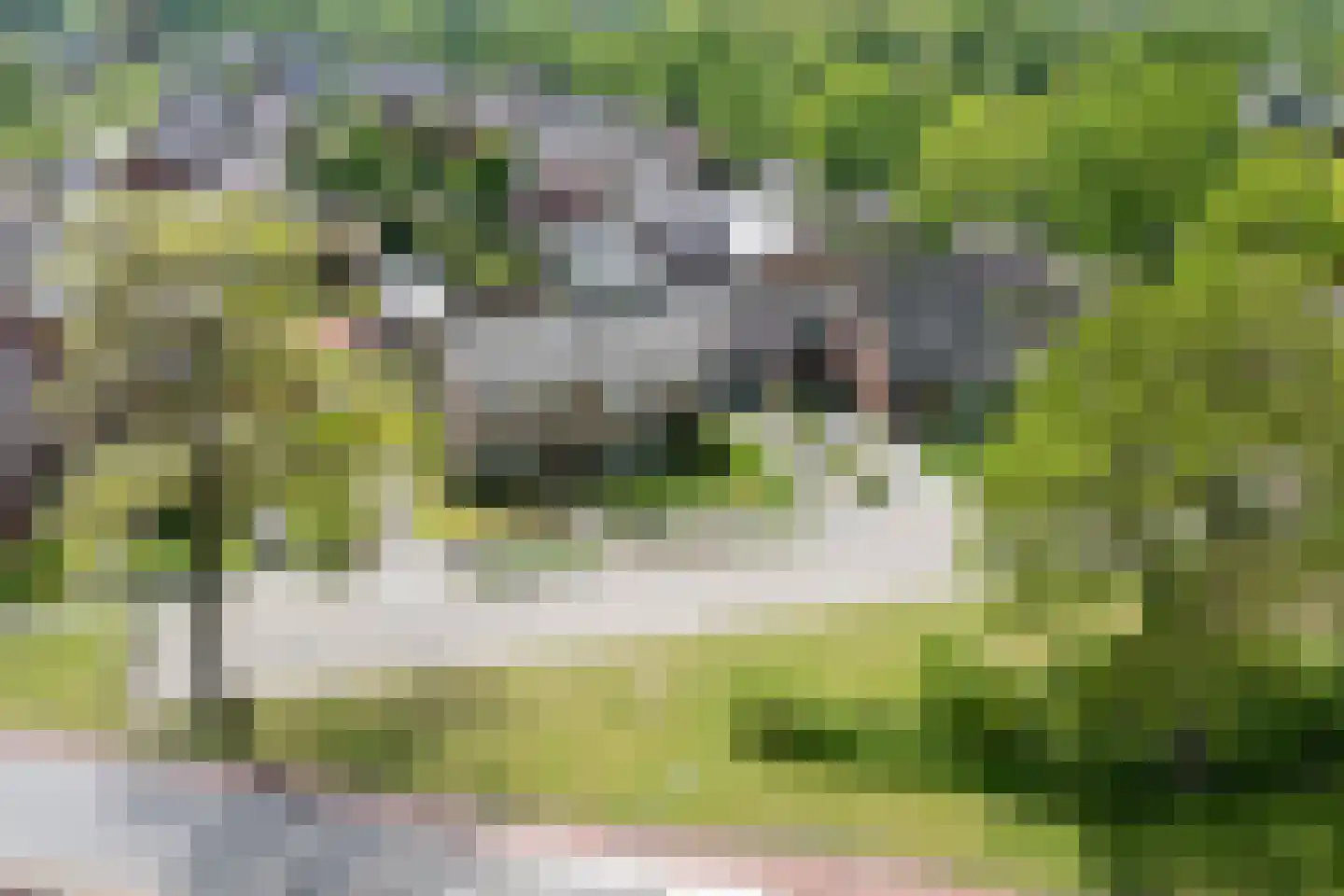 Ceintuurbaan 59 Raalte thumbnail 4