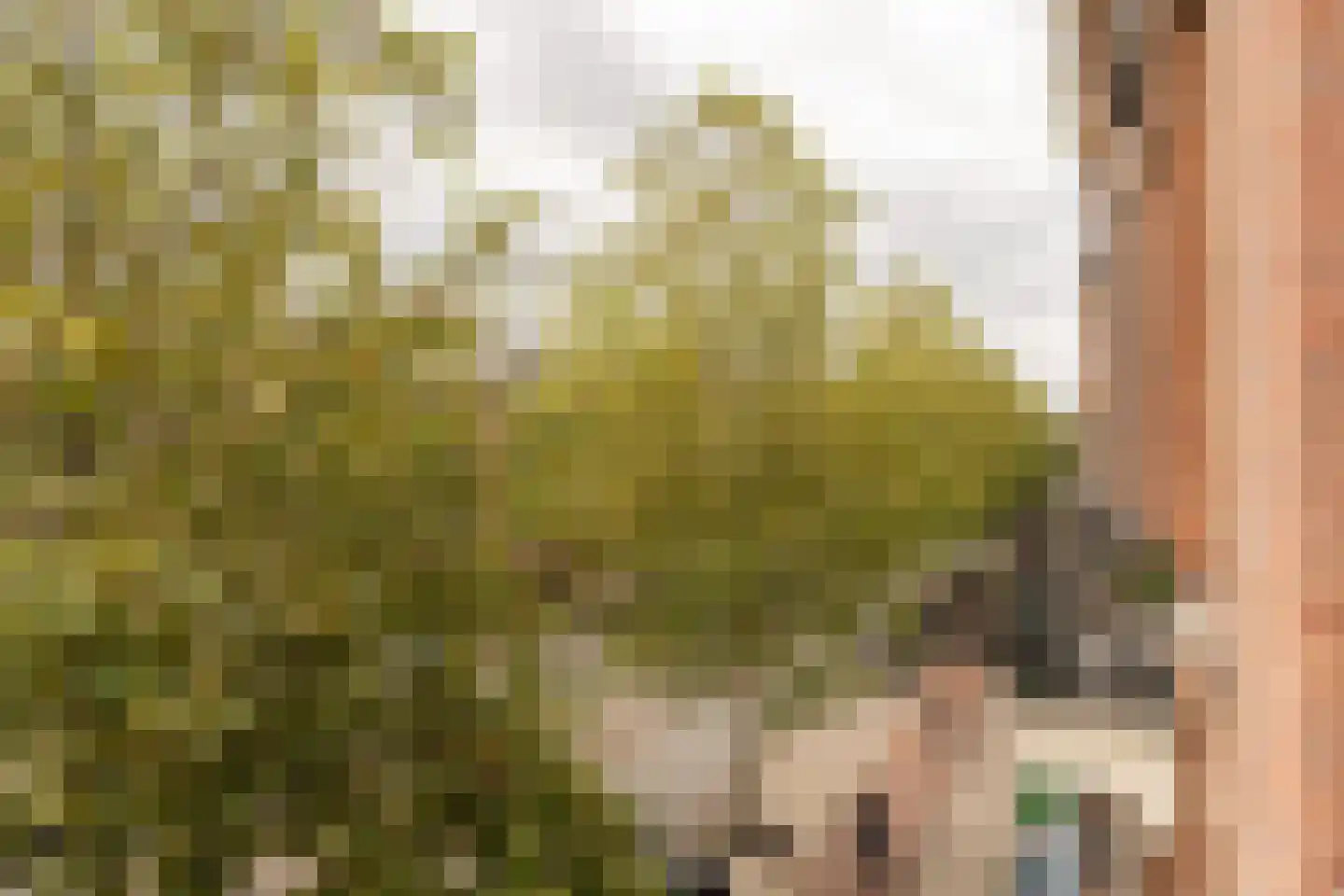 Ceintuurbaan 61 2 Amsterdam thumbnail 15