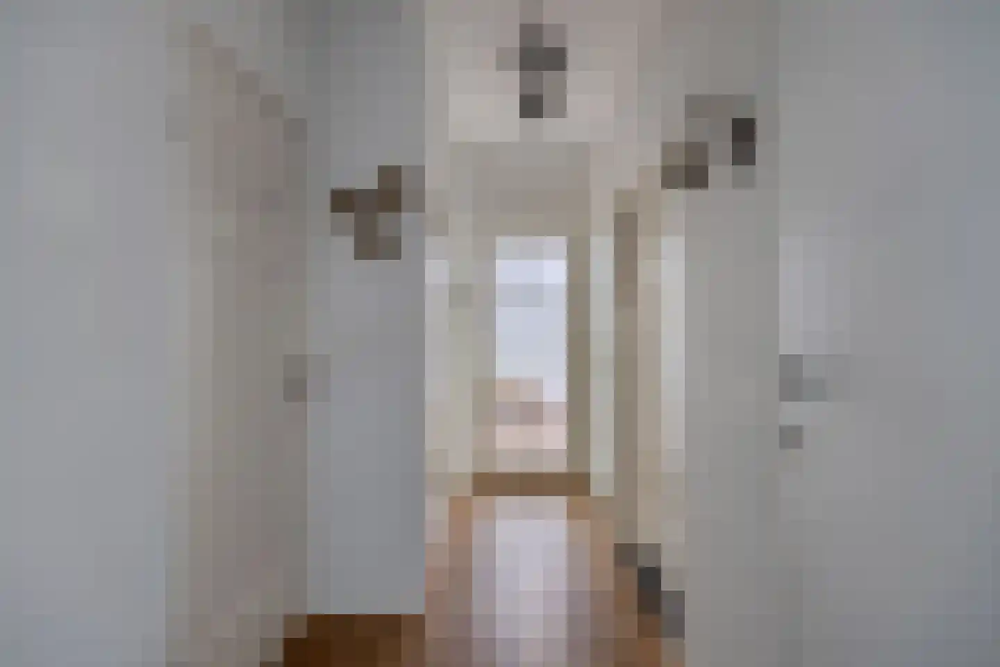 Ceintuurbaan 62 Bussum thumbnail 5