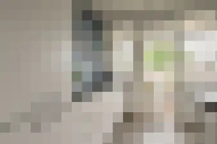 Ceintuurbaan 64 II Bussum thumbnail 13