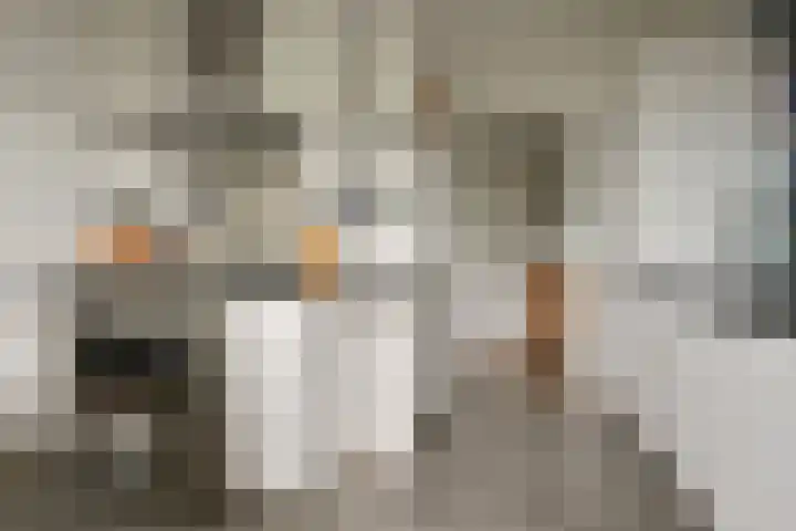 Ceintuurbaan 64 II Bussum thumbnail 14