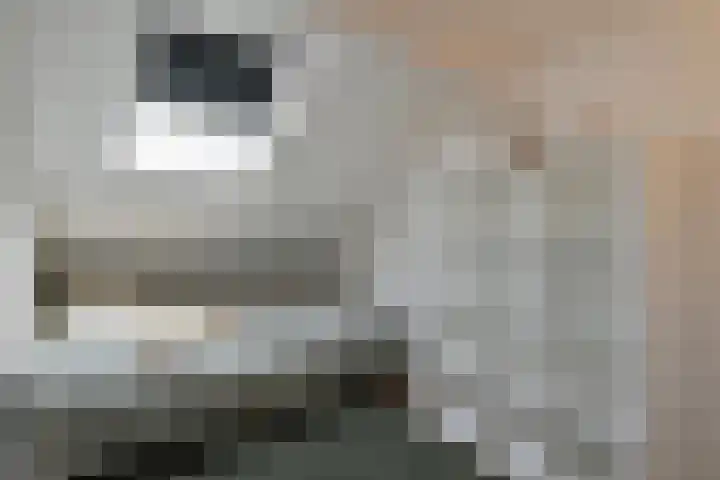 Ceintuurbaan 64 II Bussum thumbnail 18