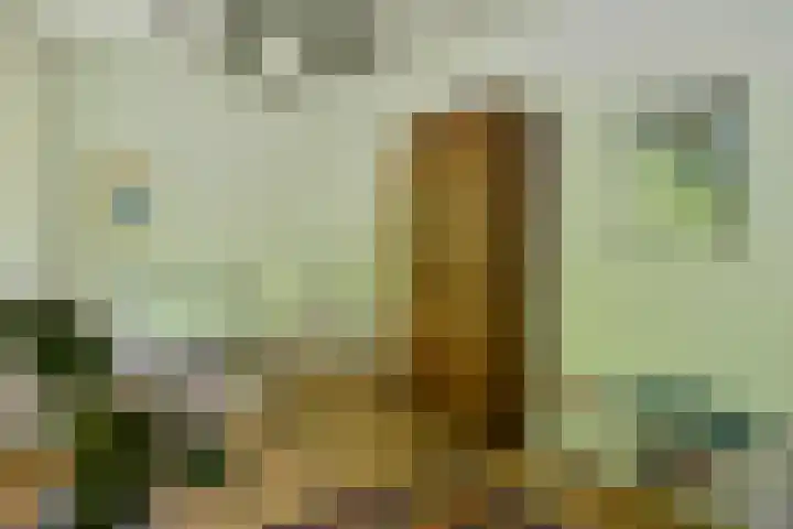 Ceintuurbaan 64 II Bussum thumbnail 5