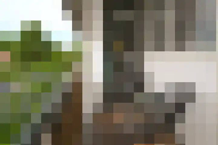 Ceintuurbaan 64 II Bussum thumbnail 6