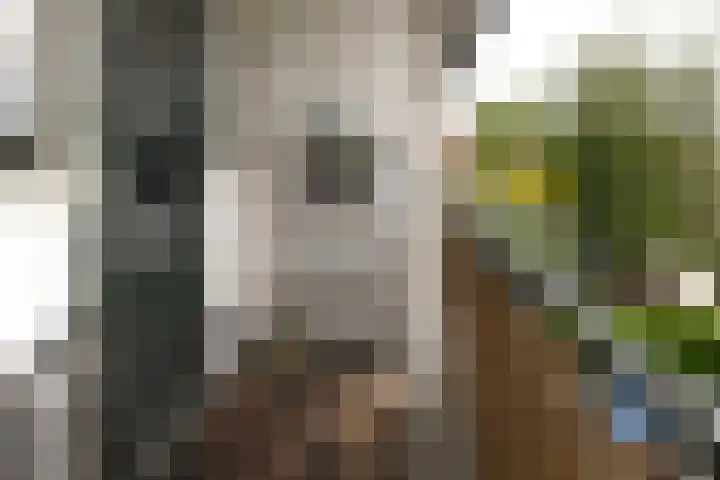 Ceintuurbaan 64 II Bussum thumbnail 7