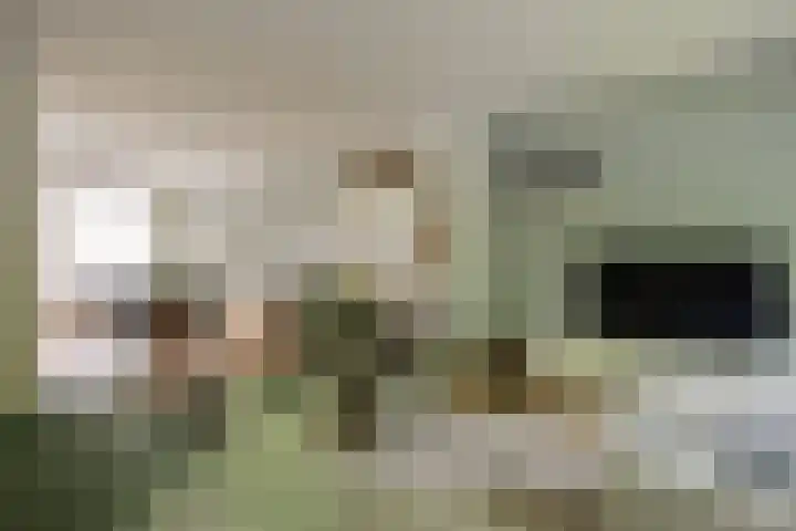 Ceintuurbaan 64 II Bussum thumbnail 8