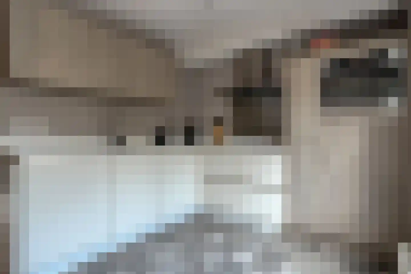 Ceintuurbaan 64 Meppel thumbnail 16