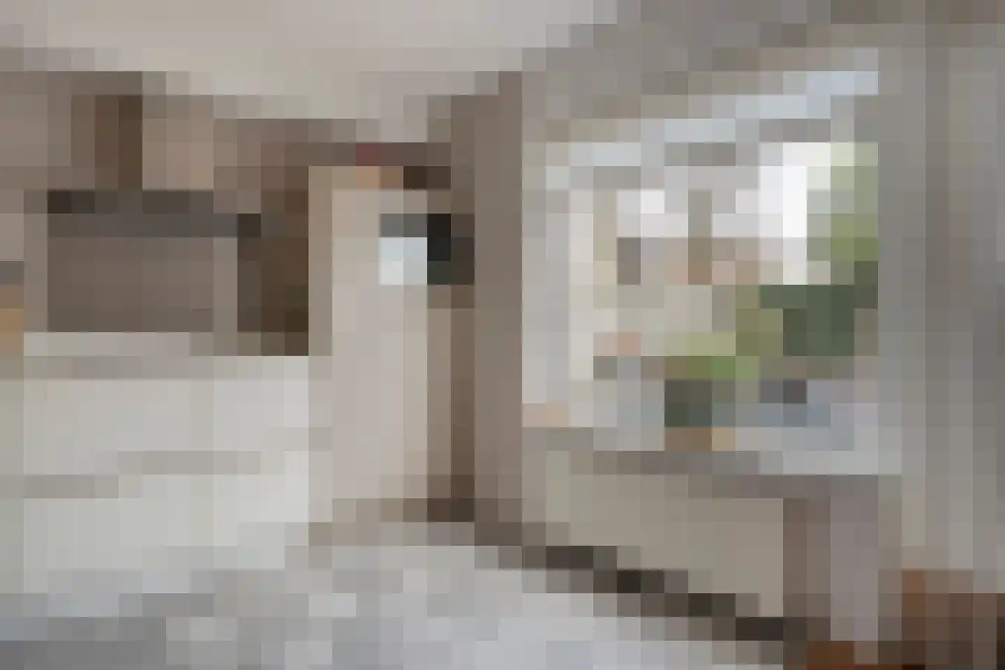 Ceintuurbaan 64 Meppel thumbnail 17