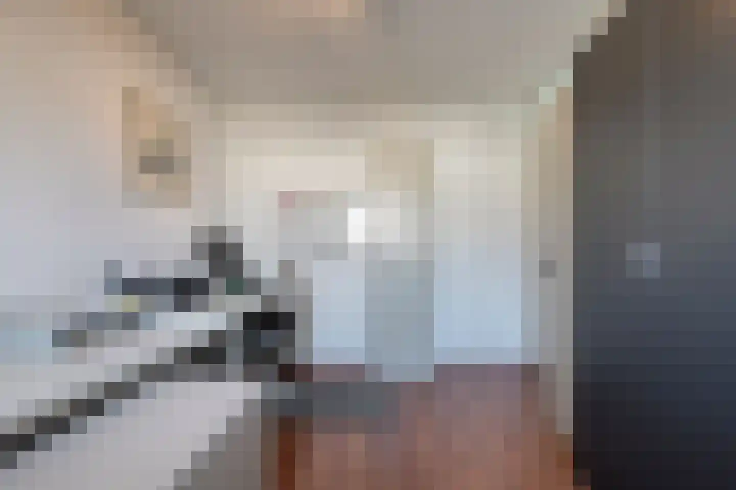 Ceintuurbaan 64 Meppel thumbnail 27