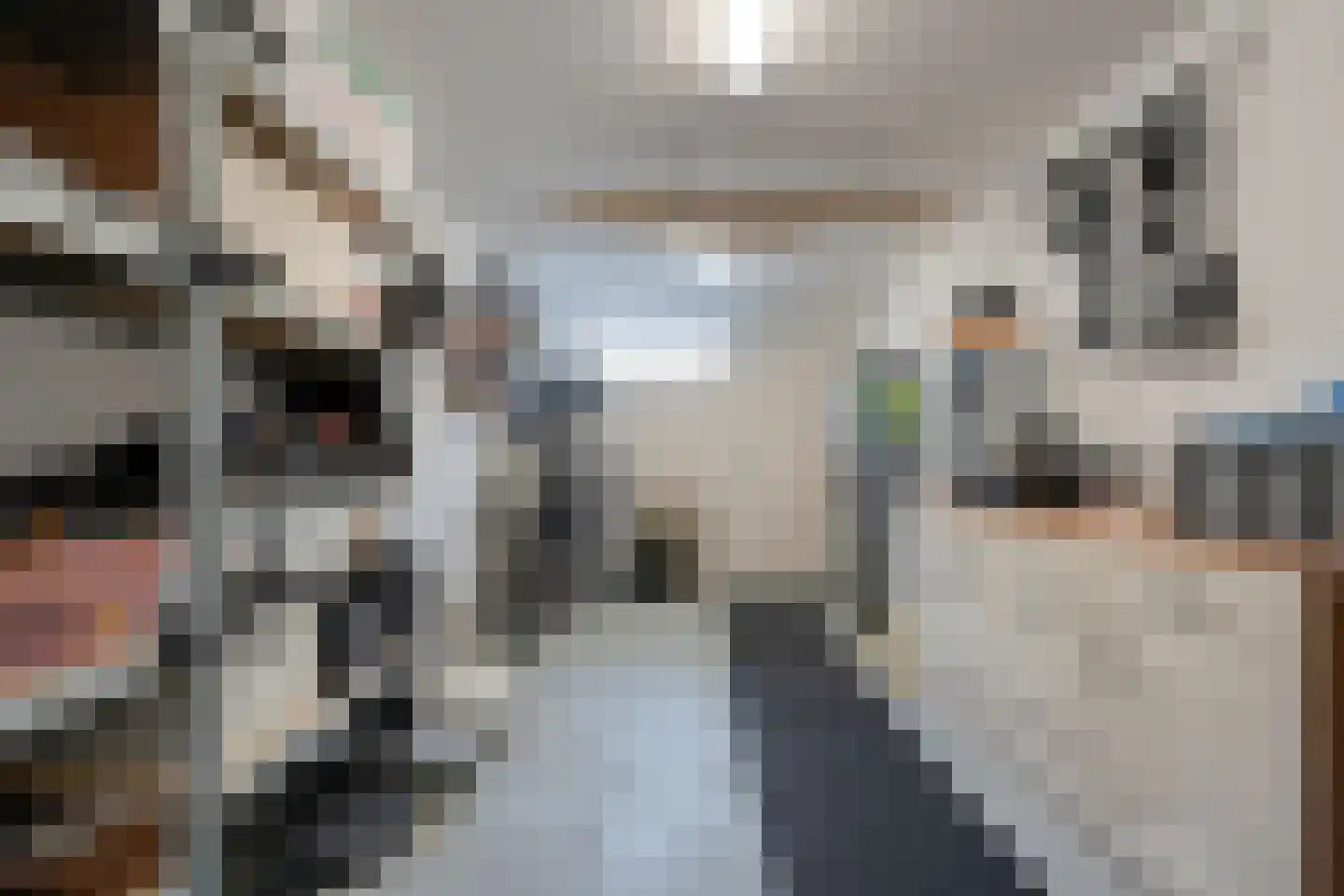 Ceintuurbaan 64 Meppel thumbnail 35