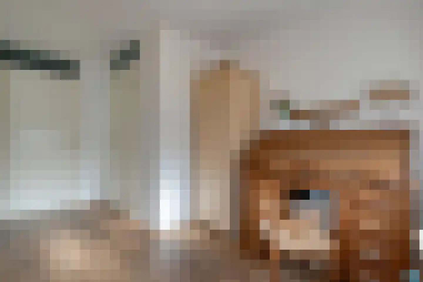 Ceintuurbaan 64 Meppel thumbnail 6