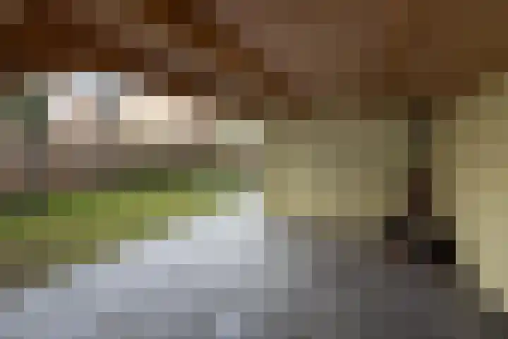 Ceintuurbaan 67 Bussum thumbnail 23