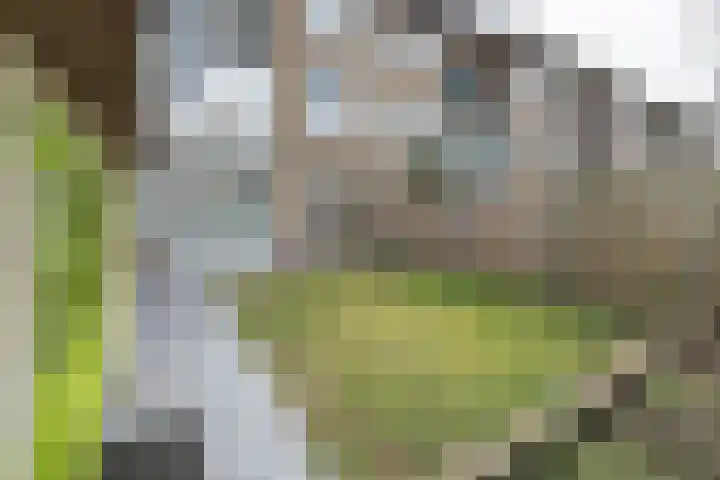 Ceintuurbaan 67 Bussum thumbnail 25