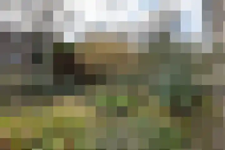 Ceintuurbaan 67 Bussum thumbnail 27