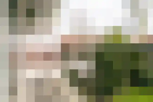 Ceintuurbaan 68 I Bussum thumbnail 13