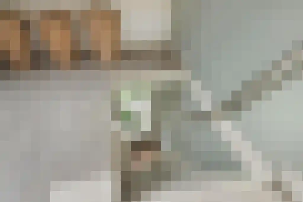 Ceintuurbaan 69 II Bussum thumbnail 16