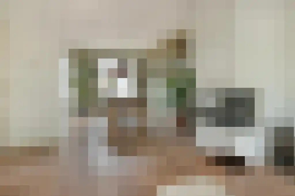 Ceintuurbaan 69 II Bussum thumbnail 9