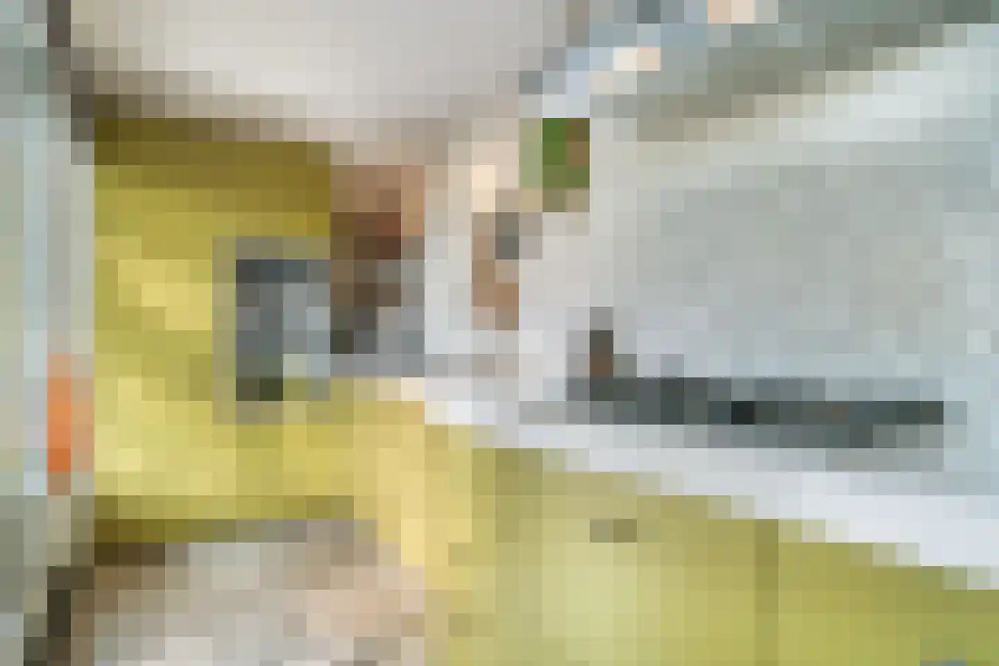 Ceintuurbaan 70 II Bussum thumbnail 14