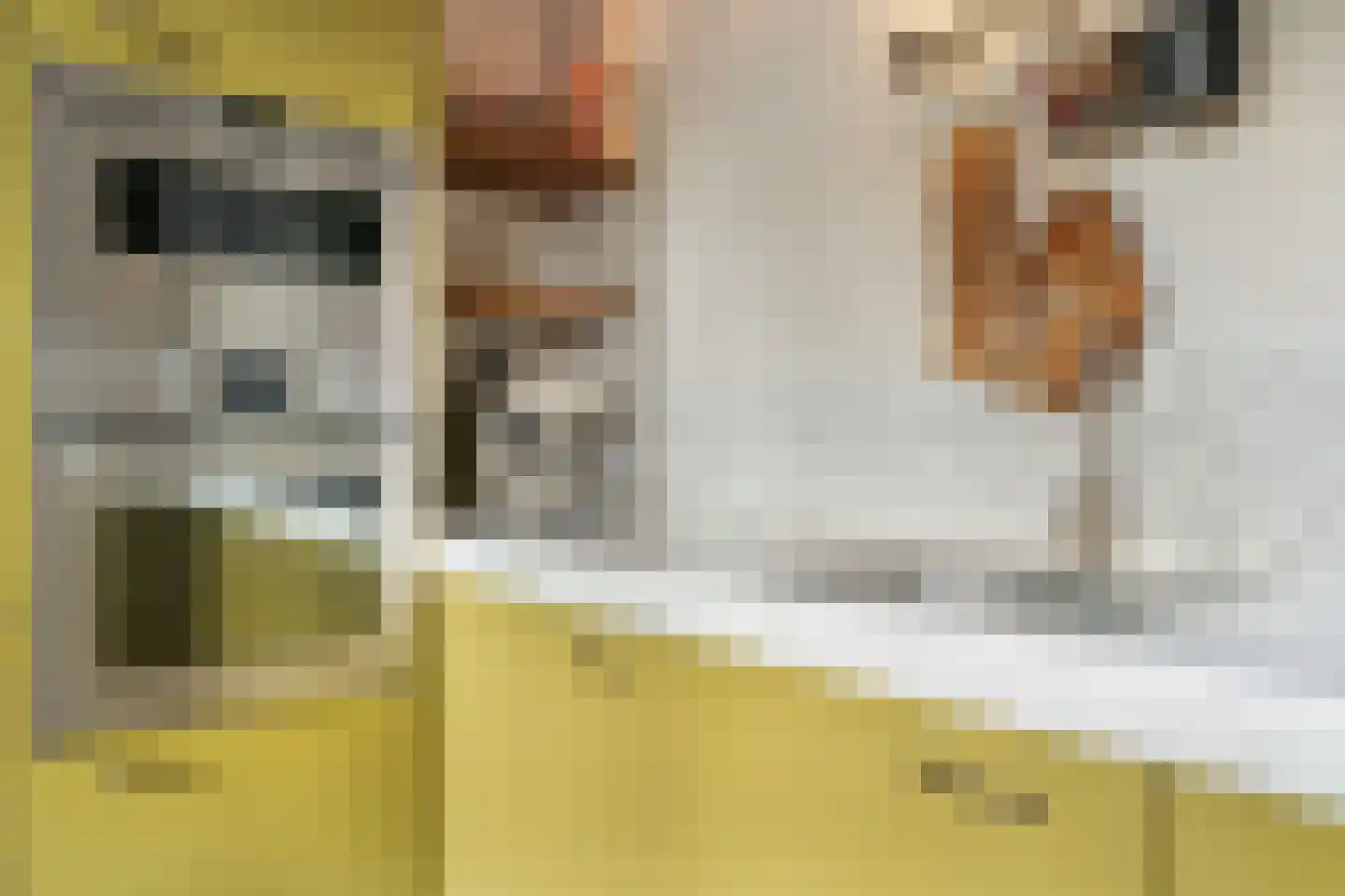 Ceintuurbaan 70 II Bussum thumbnail 15