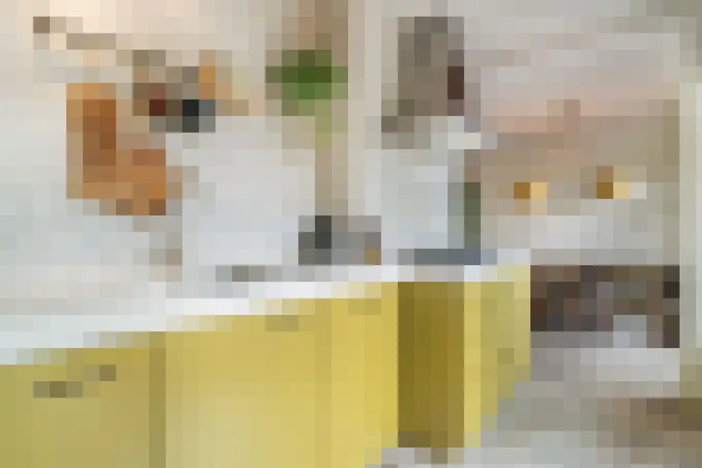 Ceintuurbaan 70 II Bussum thumbnail 16