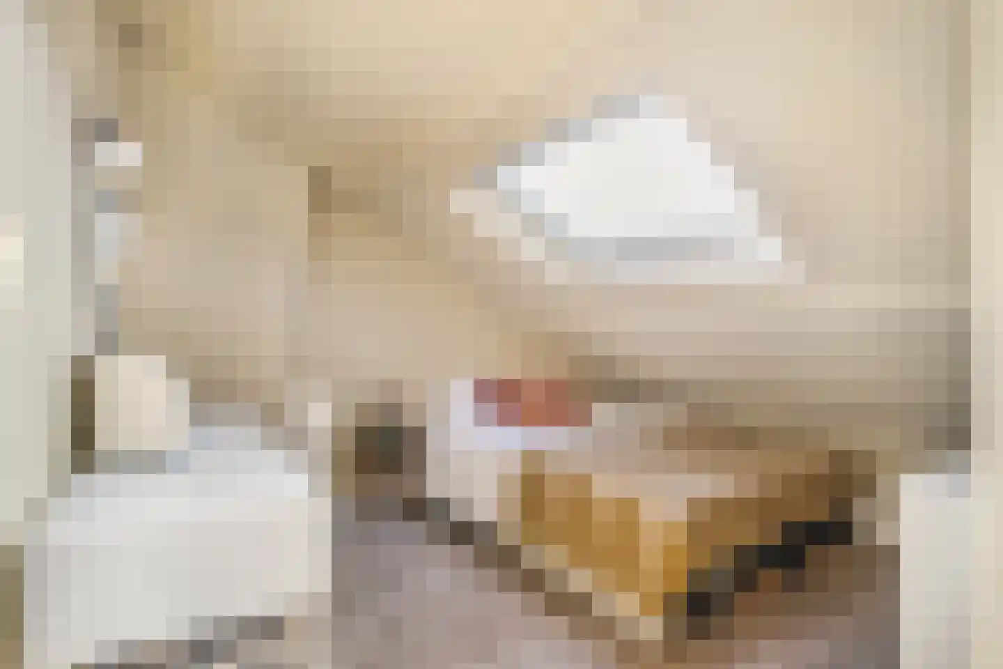 Ceintuurbaan 70 II Bussum thumbnail 35