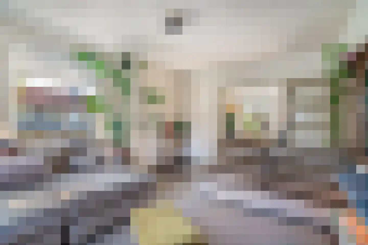 Ceintuurbaan 70 II Bussum thumbnail 9
