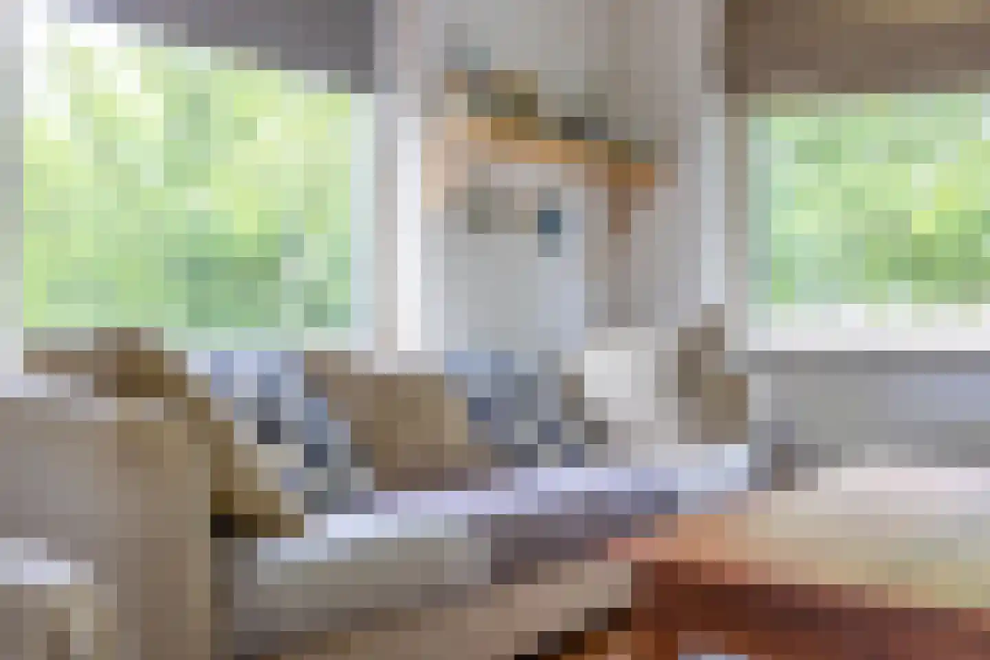 Ceintuurbaan 73 II Bussum thumbnail 11