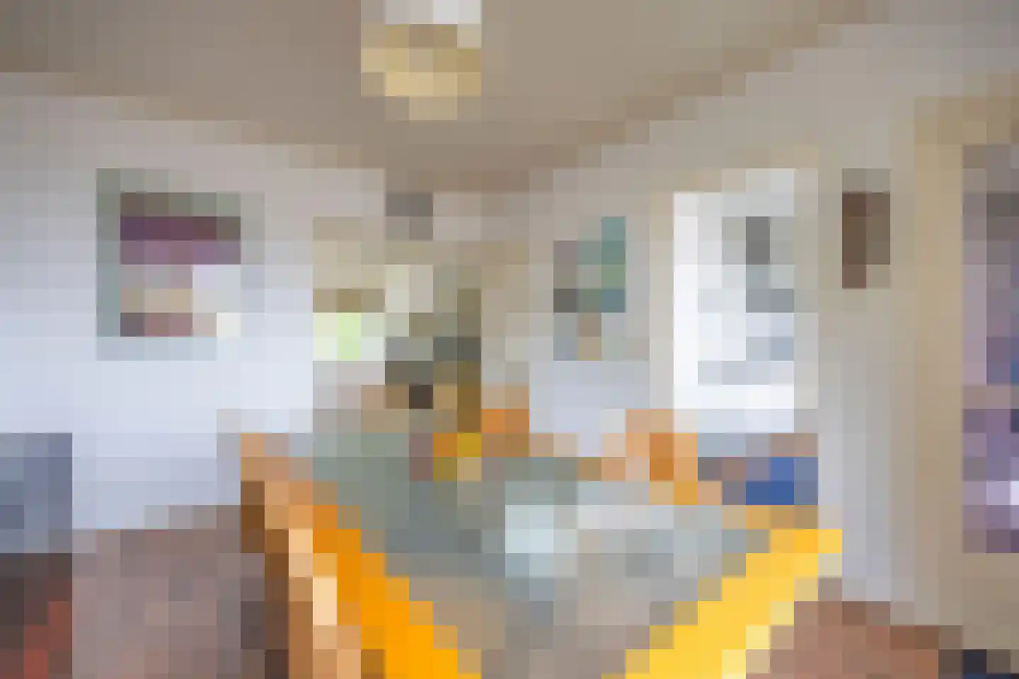 Ceintuurbaan 73 II Bussum thumbnail 17