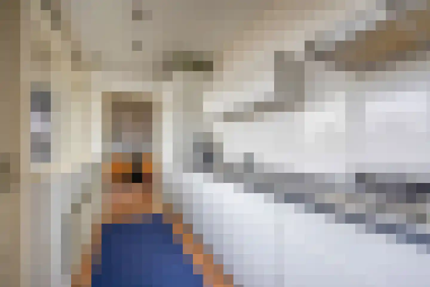 Ceintuurbaan 73 II Bussum thumbnail 19