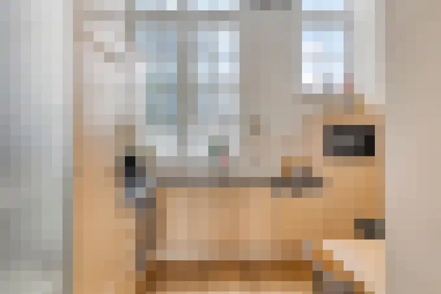 Ceintuurbaan 8 F 13 Deventer thumbnail 24