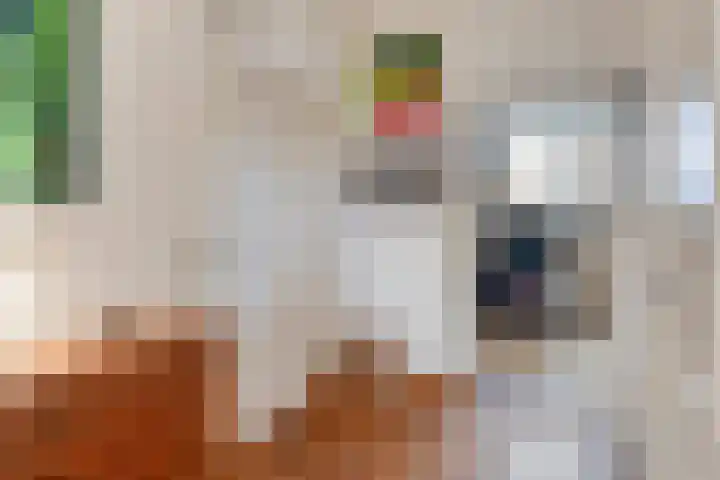 Ceintuurbaan 8 F 9 Deventer thumbnail 24