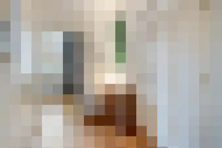 Ceintuurbaan 8 F 9 Deventer thumbnail 25
