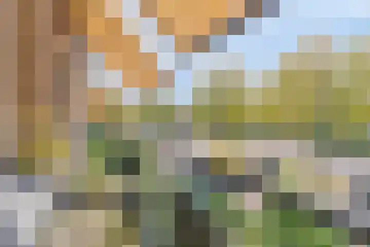 Ceintuurbaan 8 F 9 Deventer thumbnail 4