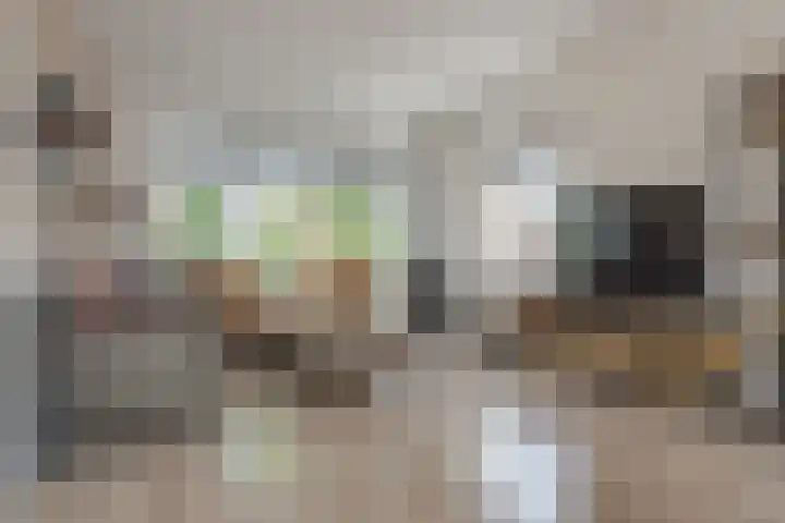 Ceintuurbaan Noord 19 Roden thumbnail 12