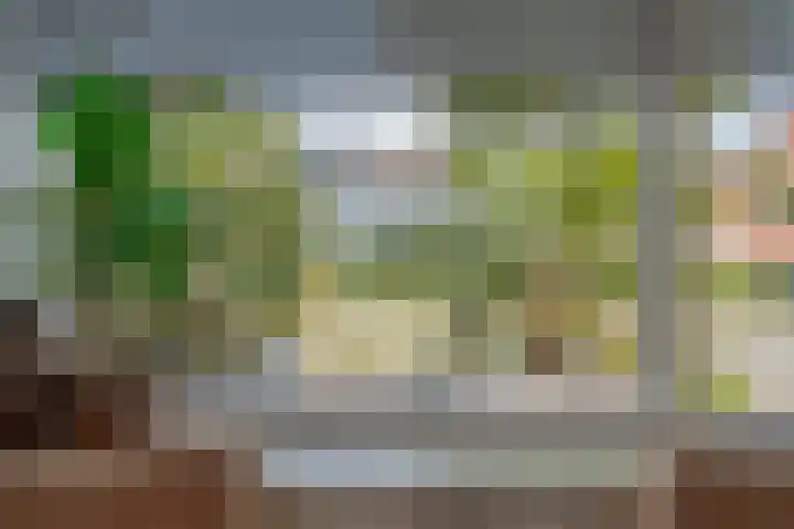 Ceintuurbaan Noord 19 Roden thumbnail 13