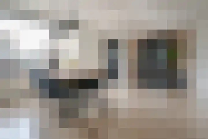Ceintuurbaan Noord 19 Roden thumbnail 18