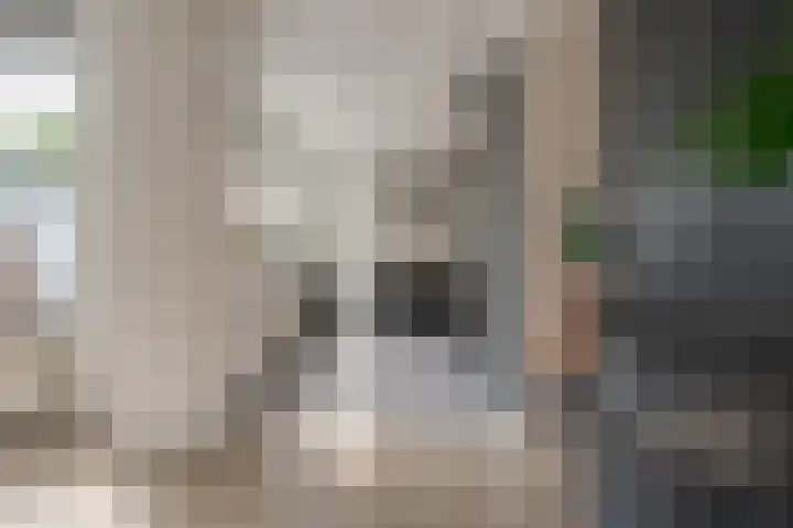 Ceintuurbaan Noord 19 Roden thumbnail 19