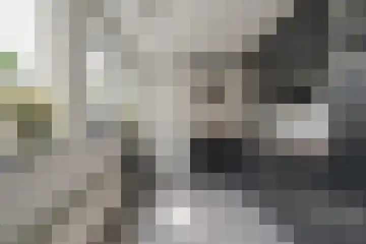 Ceintuurbaan Noord 19 Roden thumbnail 20