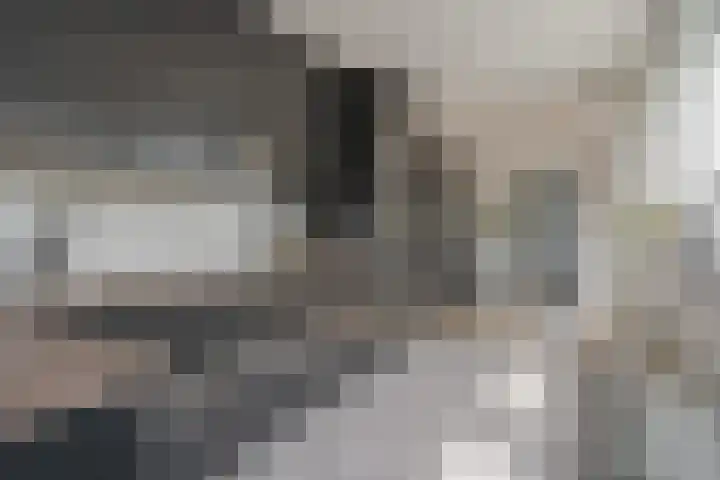 Ceintuurbaan Noord 19 Roden thumbnail 22