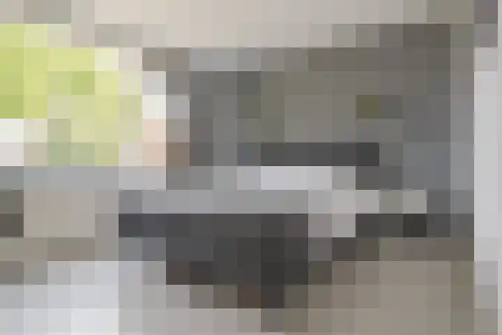 Ceintuurbaan Noord 19 Roden thumbnail 30